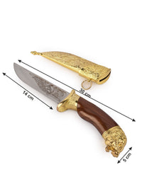 12" Royal Indian Knife / Dagger in a Golden Case - The Heritage Artifacts