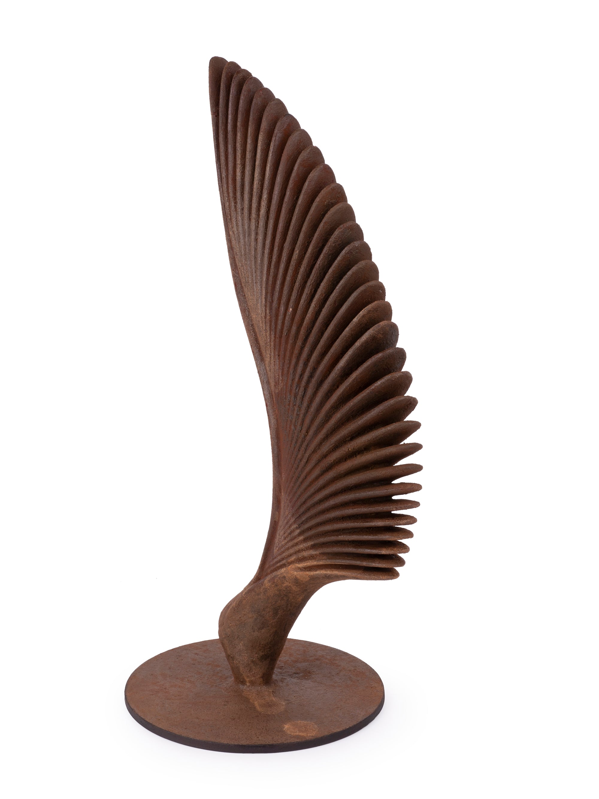 Sculpture name - WINGS OF LIFE (old rustic finish) - The Heritage Artifacts