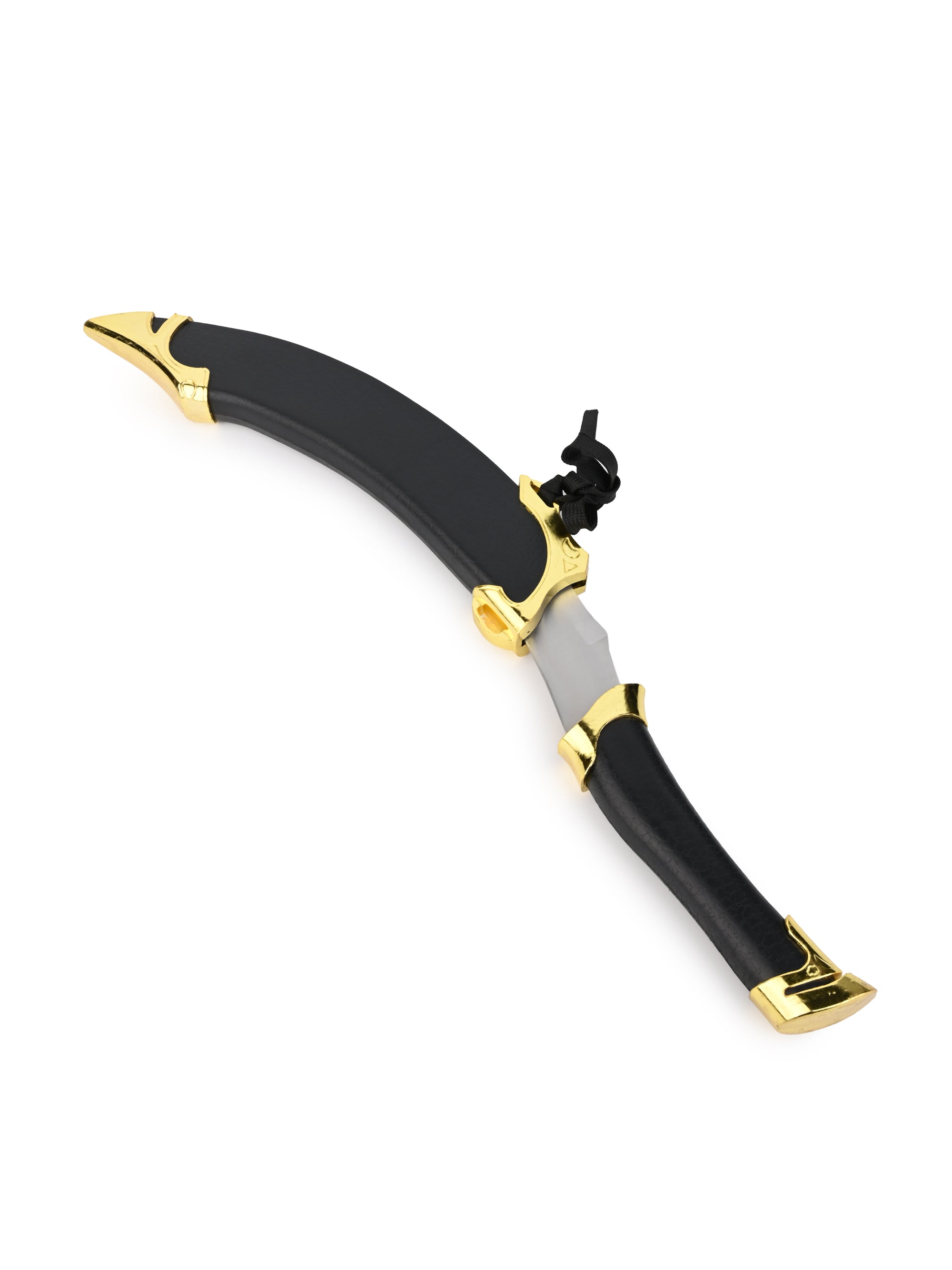 Stylish and Durable Long Dagger / Knife in a Black Hard Case For Home Decor